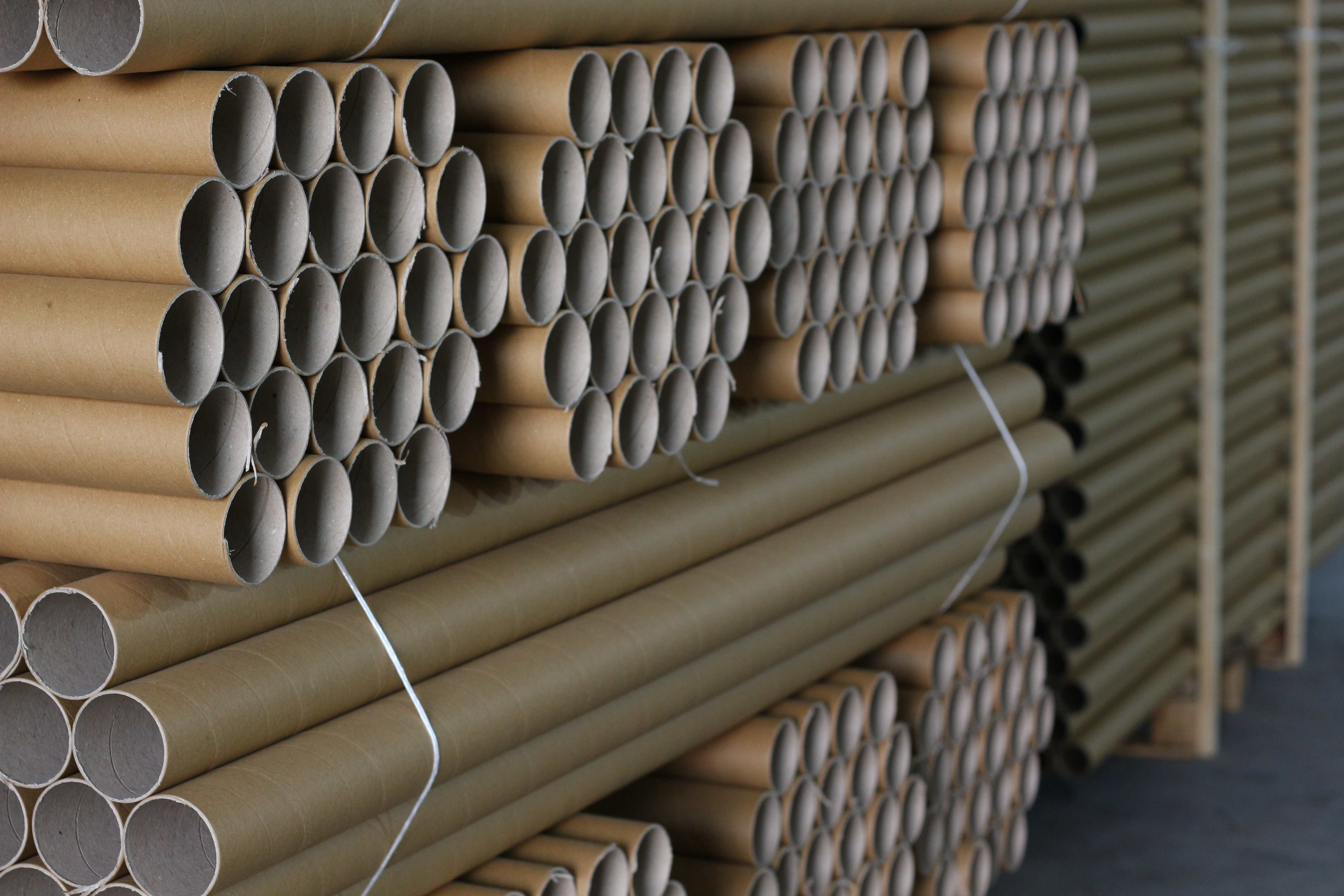 Film ve Esnek Ambalaj Masuraları